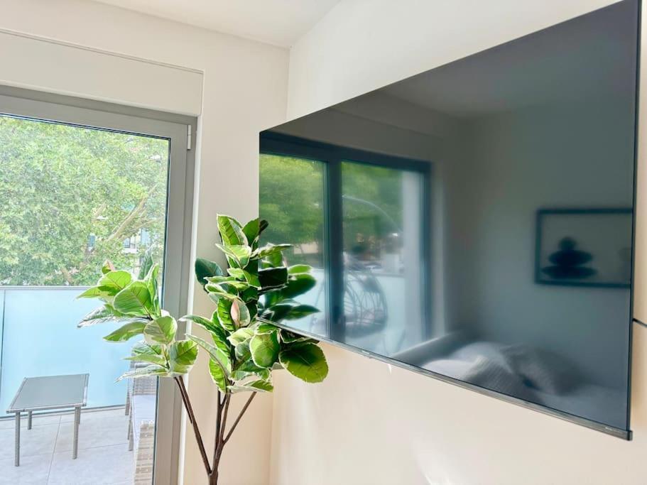 Appartement Rooftop With Balcony & Free Parking