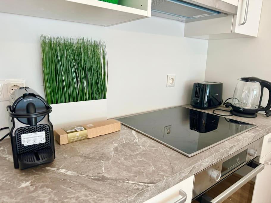 Appartement Rooftop With Balcony & Free Parking Vienne