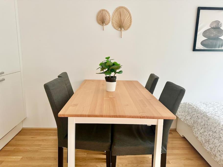 Rooftop With Balcony & Free Parking Vienne